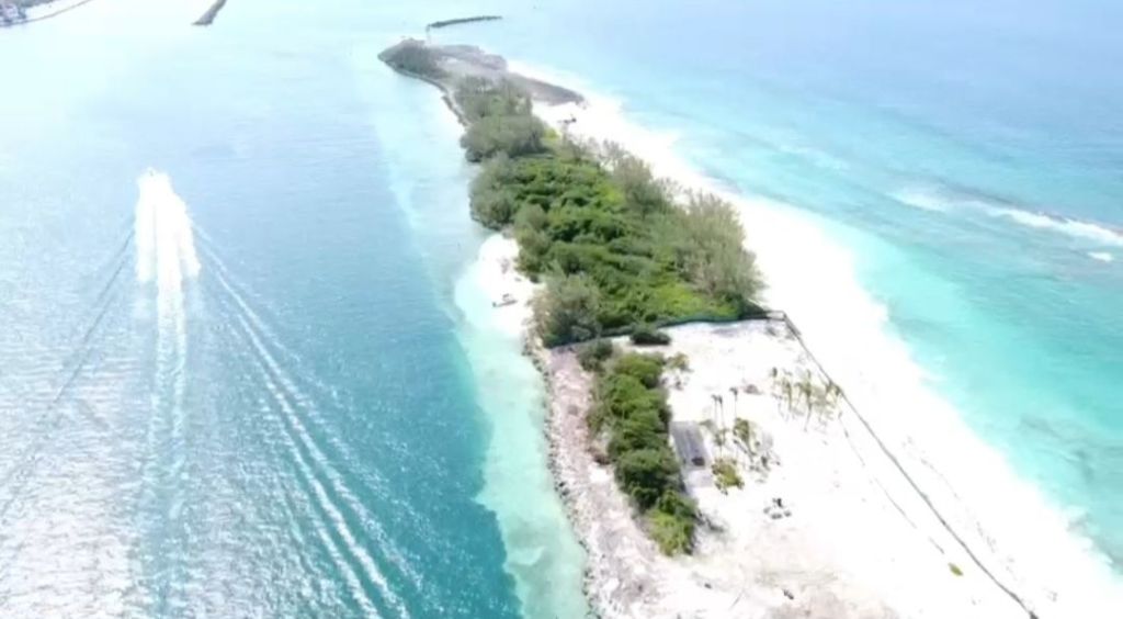 Land Surveying Services