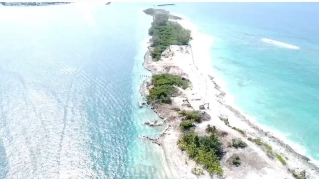 Land Surveying Services