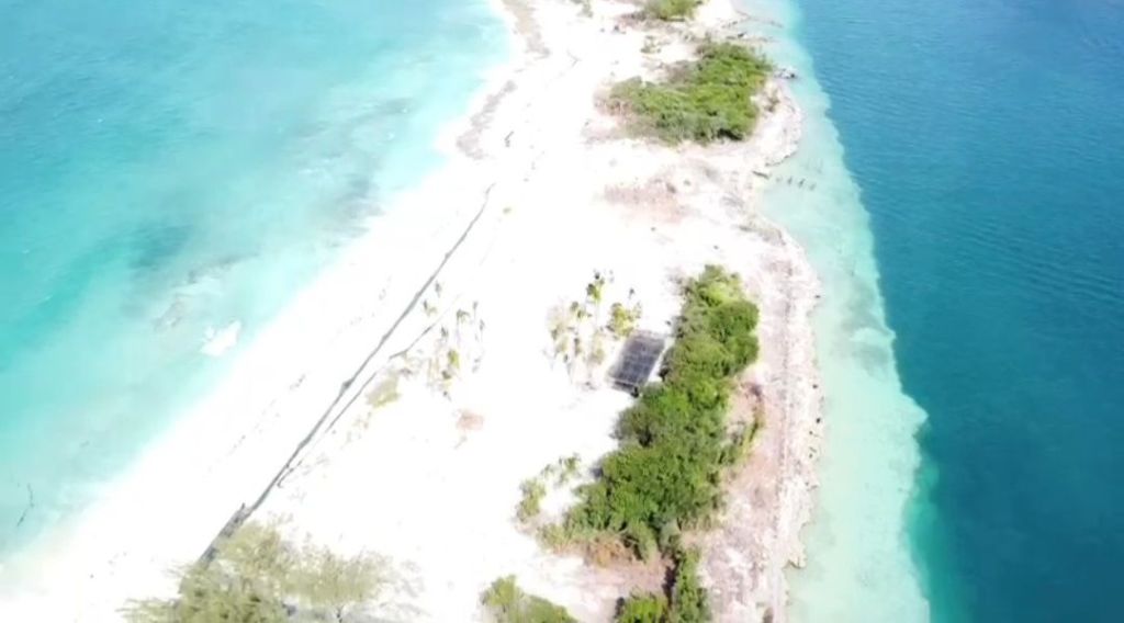 Land Surveying Company