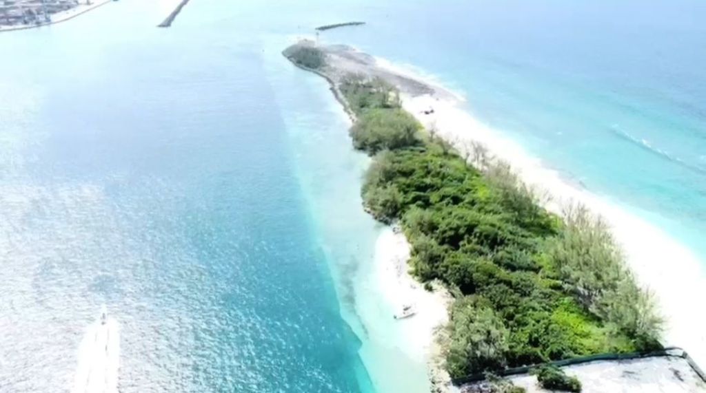 Professional Land Surveyoring Project