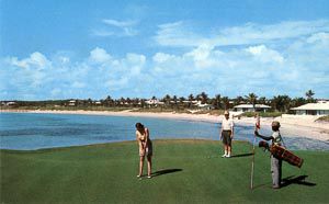 Luxury Resort Developers